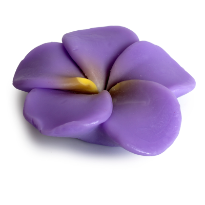 Pokhara Saponetta Iris 105gr