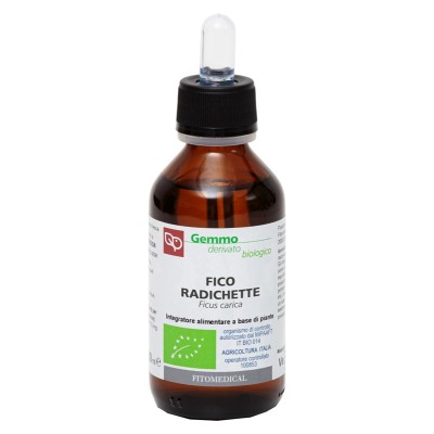 FICO RADICHETTE MG BIO 100ML