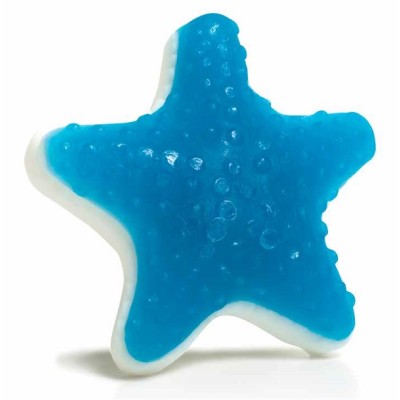 POKHARA SAPONETTA STAR FISH