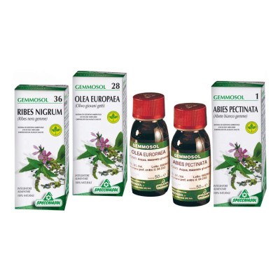 RIBES NIGRUM MG 100ML SPECCHIA