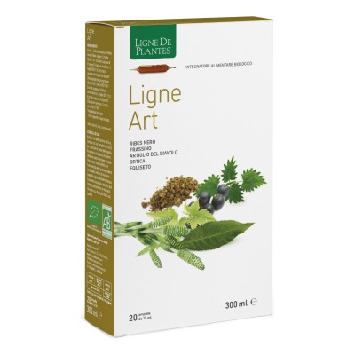 LIGNE ART 20ABX15ML