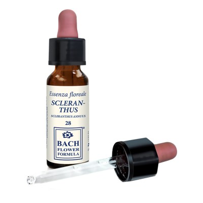 SCLERANTHUS ORIGIN 10ML GTT EBV