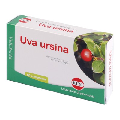 UVA URSINA E.S. 60 CPR 300MG K