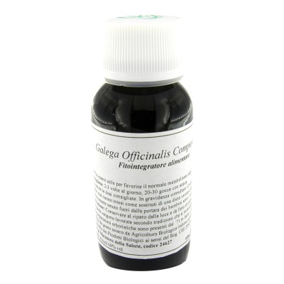 13N GALEGA OFF COMP LVS