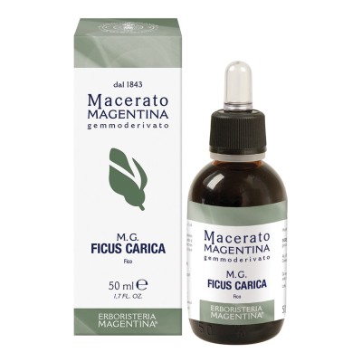 FICUS CARICA MACERATO MAGE50ML