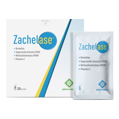 ZACHELASE 20BUST