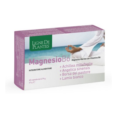 MAGNESIO B6+ACHILLEA+ANGELICA+