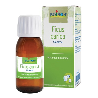 FICUS CARICA MG 60ML INT BO