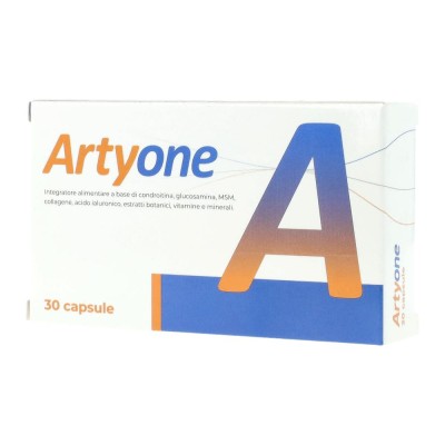 ARTYONE 30CPS SEIKOU