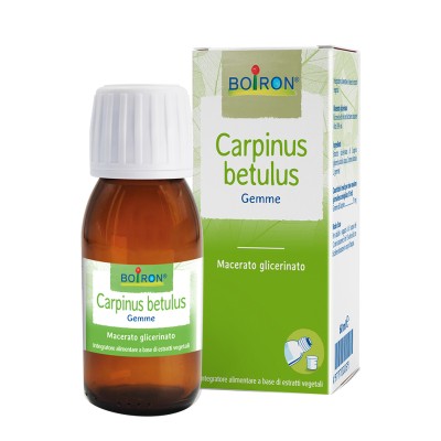 CARPINUS BETULUS MG 60ML INT