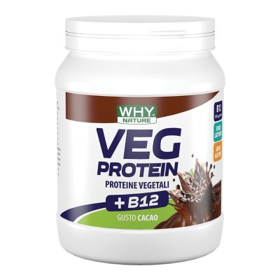 WHYNATURE VEG PROTEIN CAC 450G