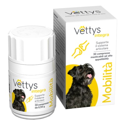 VETTYS INTEGRA MOBILITA' CANE