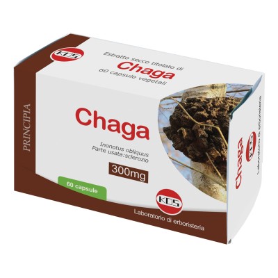 CHAGA FUNGO ES 60CPS