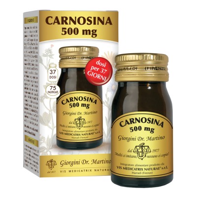 CARNOSINA 500MG 30G 75PAST