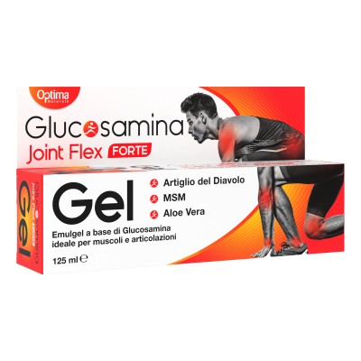 GLUCOSAMINA JOINT FLEX GEL FT