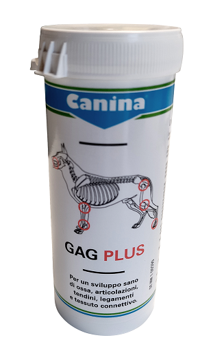 GAG PLUS 200G 120TAV