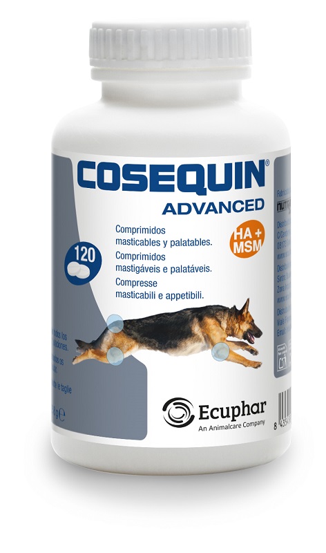 ECUPHAR Cosequin Advanced - Mangime complementare per cani e gatti di tutte le età 120 compresse - Immagine 3