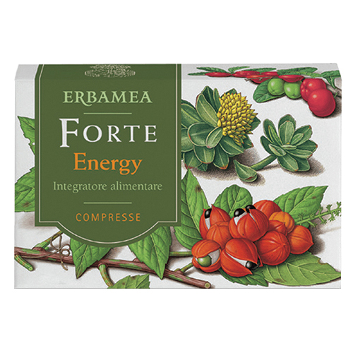 FORTE ENERGY 24CPR - Immagine 4