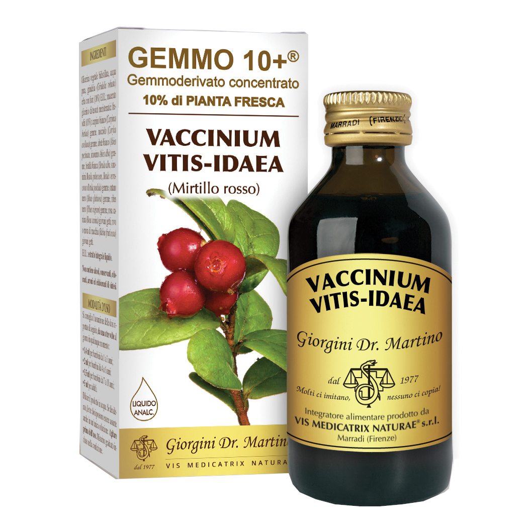 Dr. Giorgini Rosso Dr Giorgini Gemmo 10+ Mirtillo Integratore Depurativo 100Ml - Immagine 3