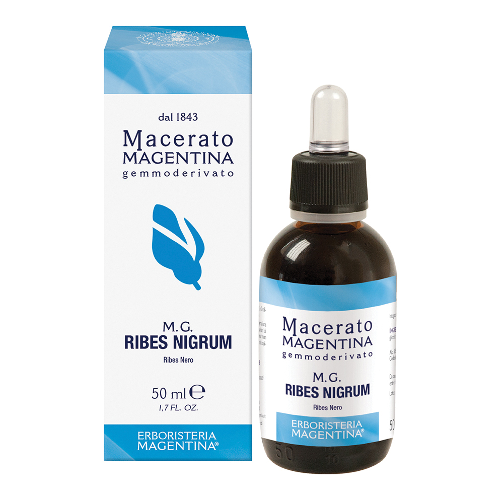 Erboristeria Magentina Nero Ribes Nigrum Macerato Di Gemme 50 Ml - Immagine 4