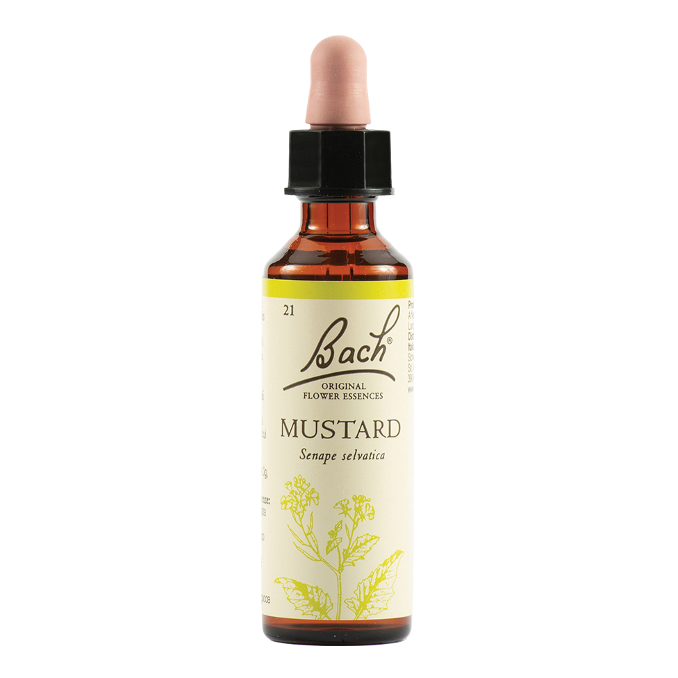 Mustard bach orig 20ml - Immagine 2