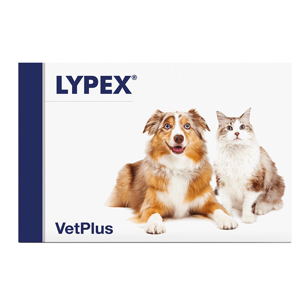 LYPEX 60 Cps - Immagine 3