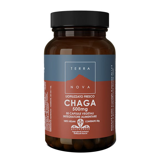 TERRANOVA CHAGA 50CPS - Immagine 3