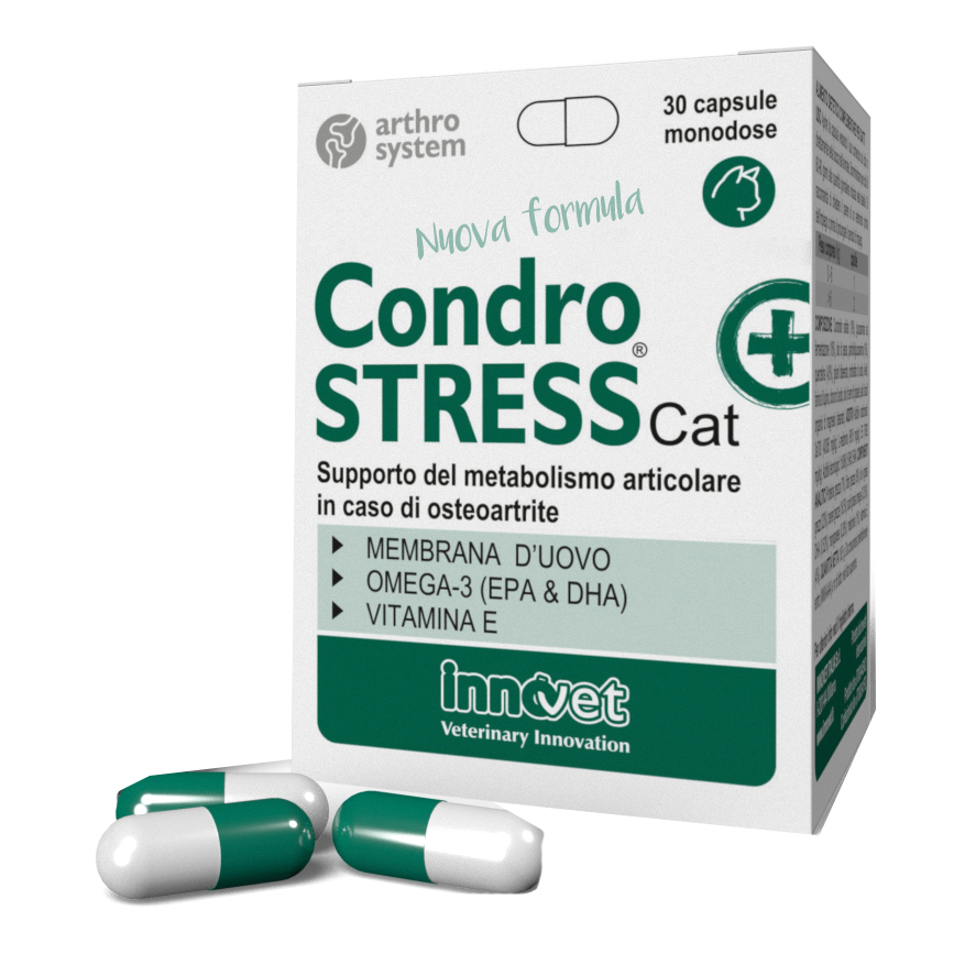INNOVET Condrostress + Cat 30 capsule - Mangime complementare per l'osteoartrite nei gatti - Immagine 9